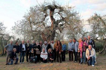 Umbria Ulivo-Raio-col-gruppo-della-stampa-estera-ad-Amelia