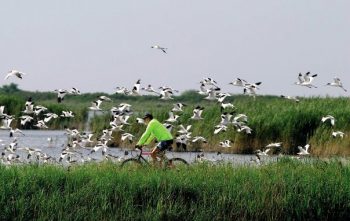 Cronache agostane 3 Delta-del-Po-in-bici