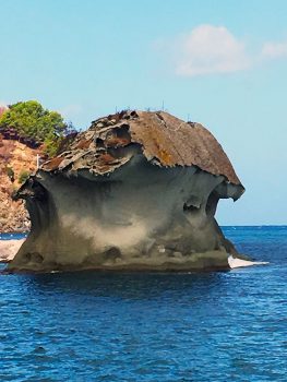 Isola delle acque Il fungo di Ischia