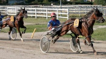 Trotto Ippodromo-Ferrara