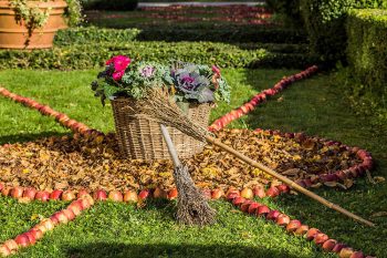 Castagna Strassoldo-In-Autunno-Frutti,-Acque-e-Castelli-2017