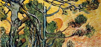 Van Gogh mostra Tra il grano e il cielo Vicenza-2017
