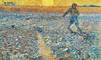 Van Gogh tra il grano e il cielo Vicenza 2017