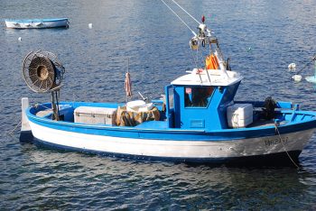 Citizen Science Barca da pesca nel mare di Ischia