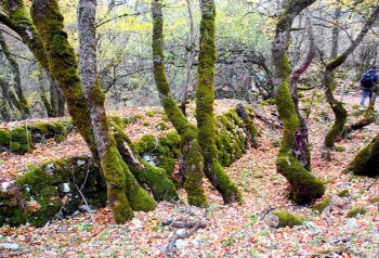 Civitella Alfedena Escursione-Aigae-Camosciara-2