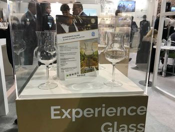 Host Experience Glass