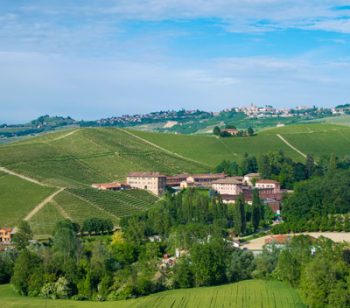 Fontanafredda Tenuta vigneti