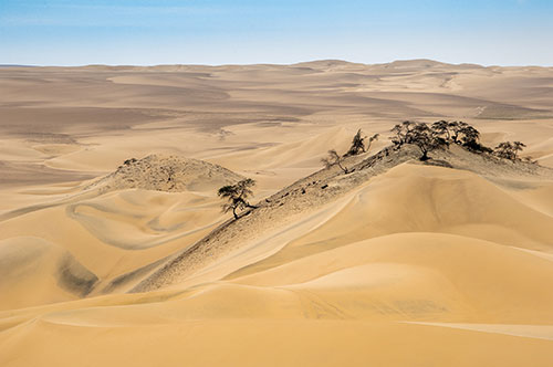 Risultati immagini per deserto americano